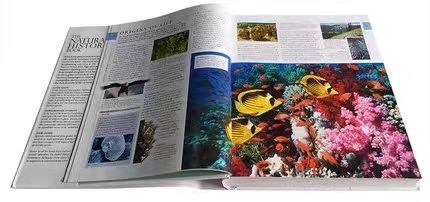 英語 博物館百科事典 自然生態学ストーリーブック