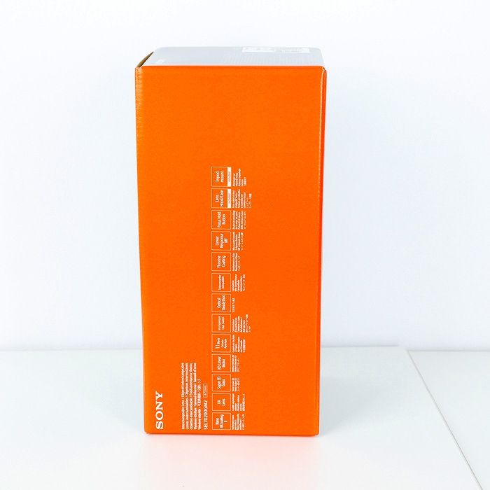  ソニー SONY FE 70 200 2 8 GM OSS II その他 カメラ