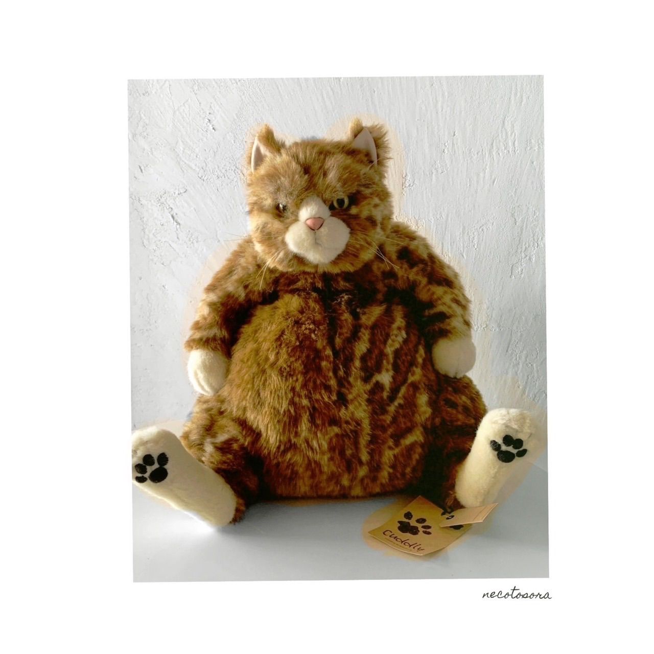 カドリー　ムッシュ　CUDDLY Muche 猫 ぬいぐるみ ムッシュ カドリー （ Cuddly ) 楽天市場】Cuddly