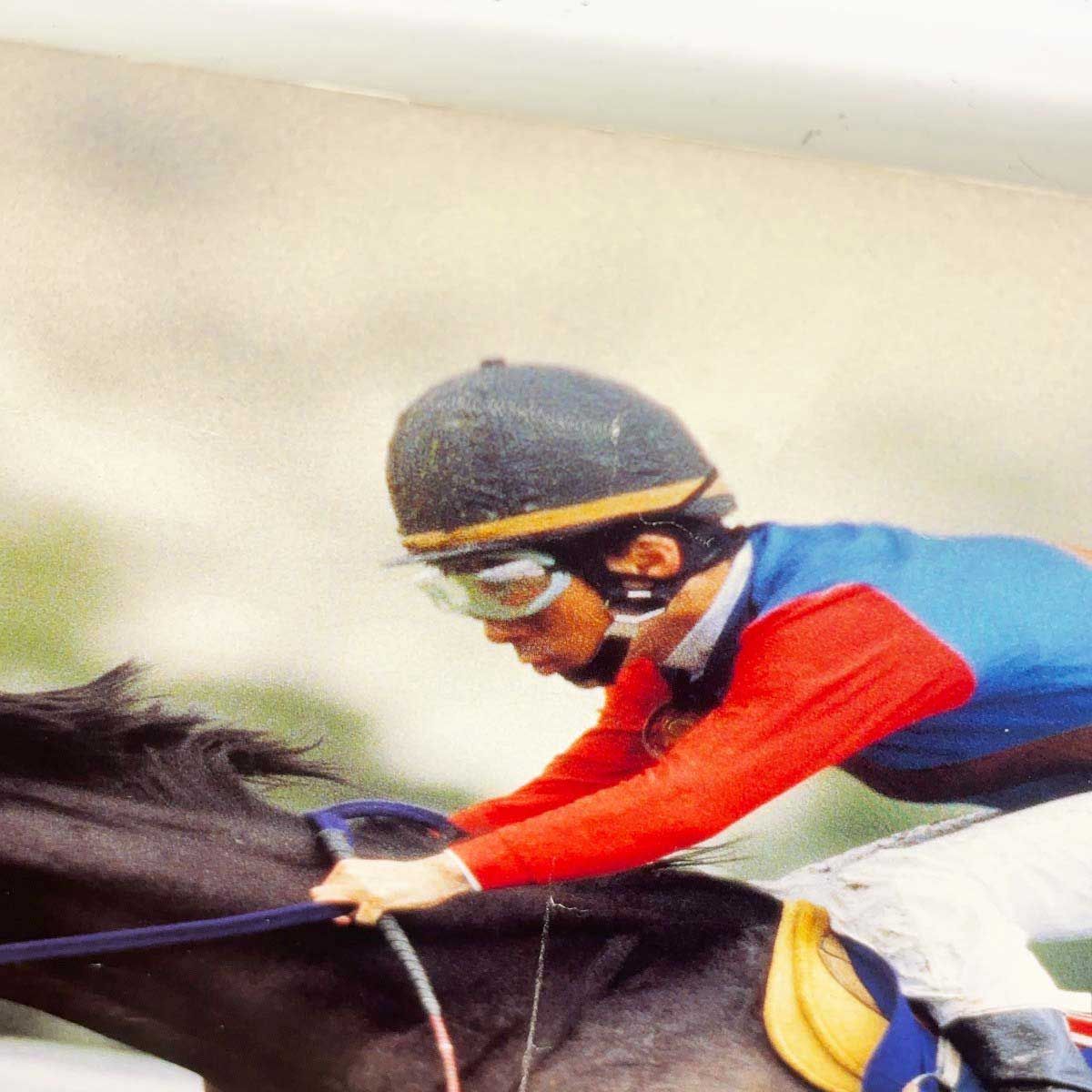 4点セット] 競馬 JRA ポスター ナリタブライアン アグネスタキオン