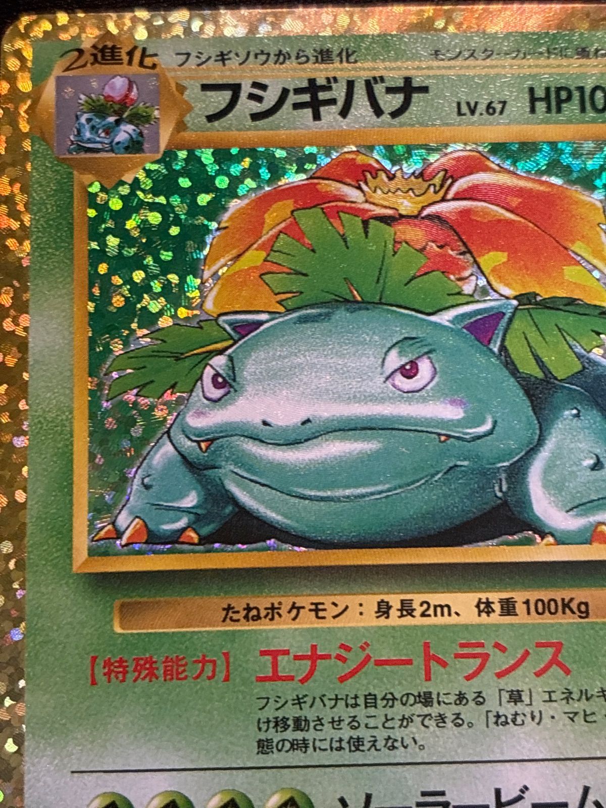 フシギバナ LV.67 25th 002/025 s8a-P Venusaur - メルカリ