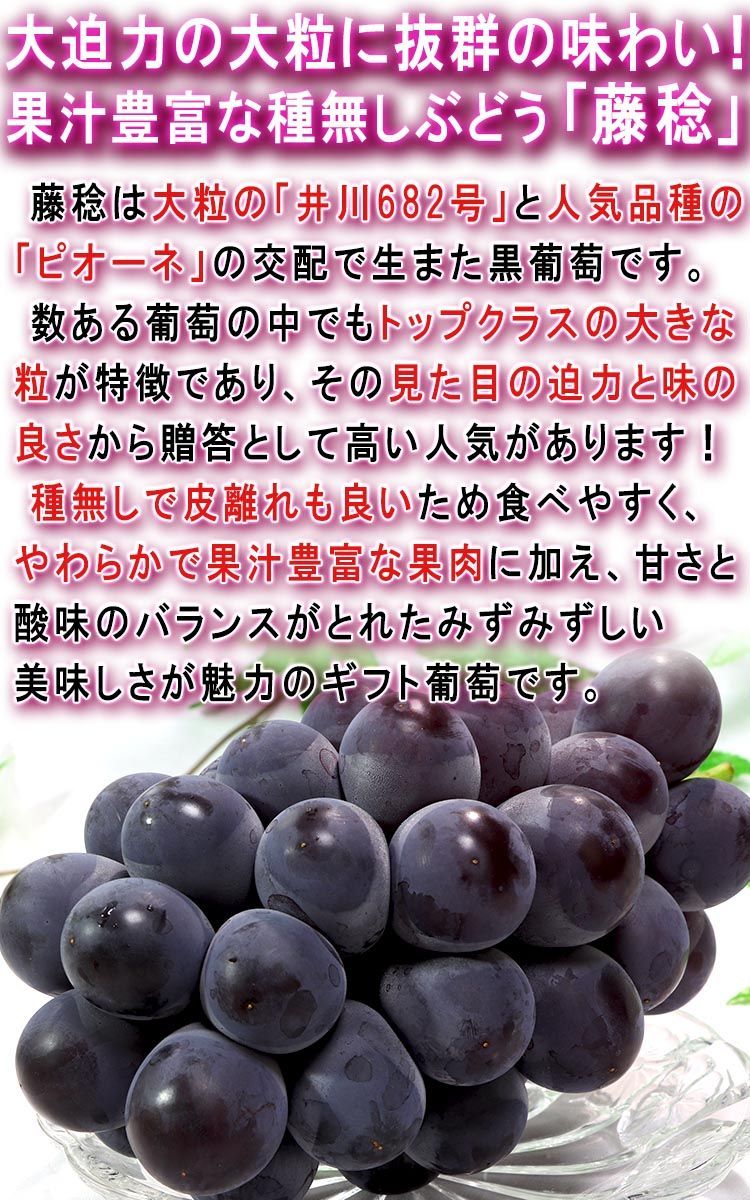 予約：8/30～9/19出荷】藤稔 ぶどう ふじみのり 約1.5kg 2～3房 山梨県産 贈答規格 JA共撰品 非常に大きな粒に濃厚な甘さ！ギフト最適な 種無し葡萄 - メルカリ