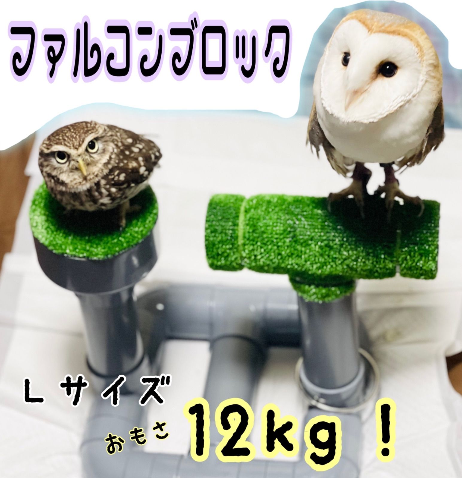 猛禽類 フクロウ 丸型ファルコンブロック - 鳥用品