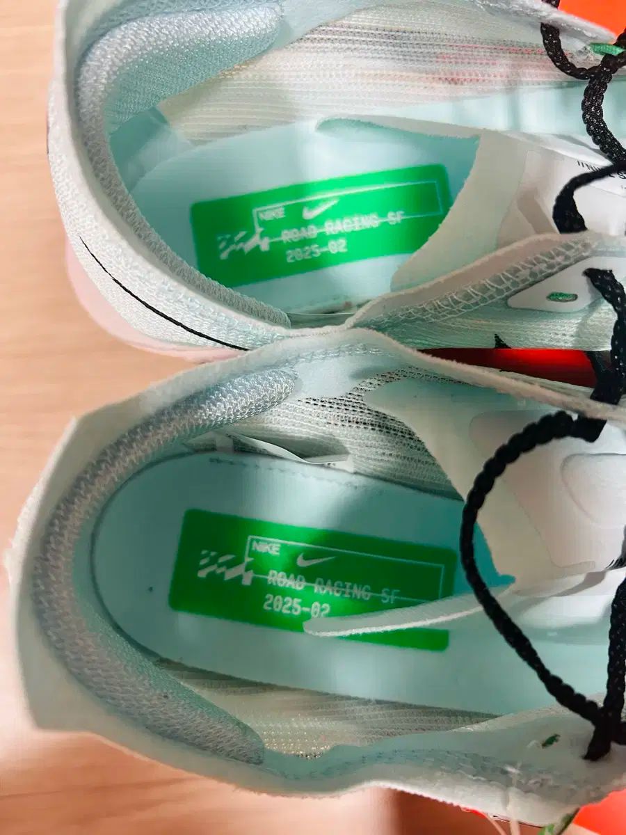 ストリックフライ2