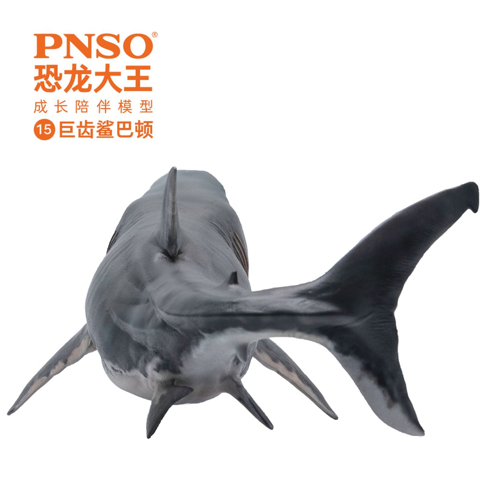 PNSO メガロドン ホホジロザメ パットン サメ 海洋動物 生物 魚類 