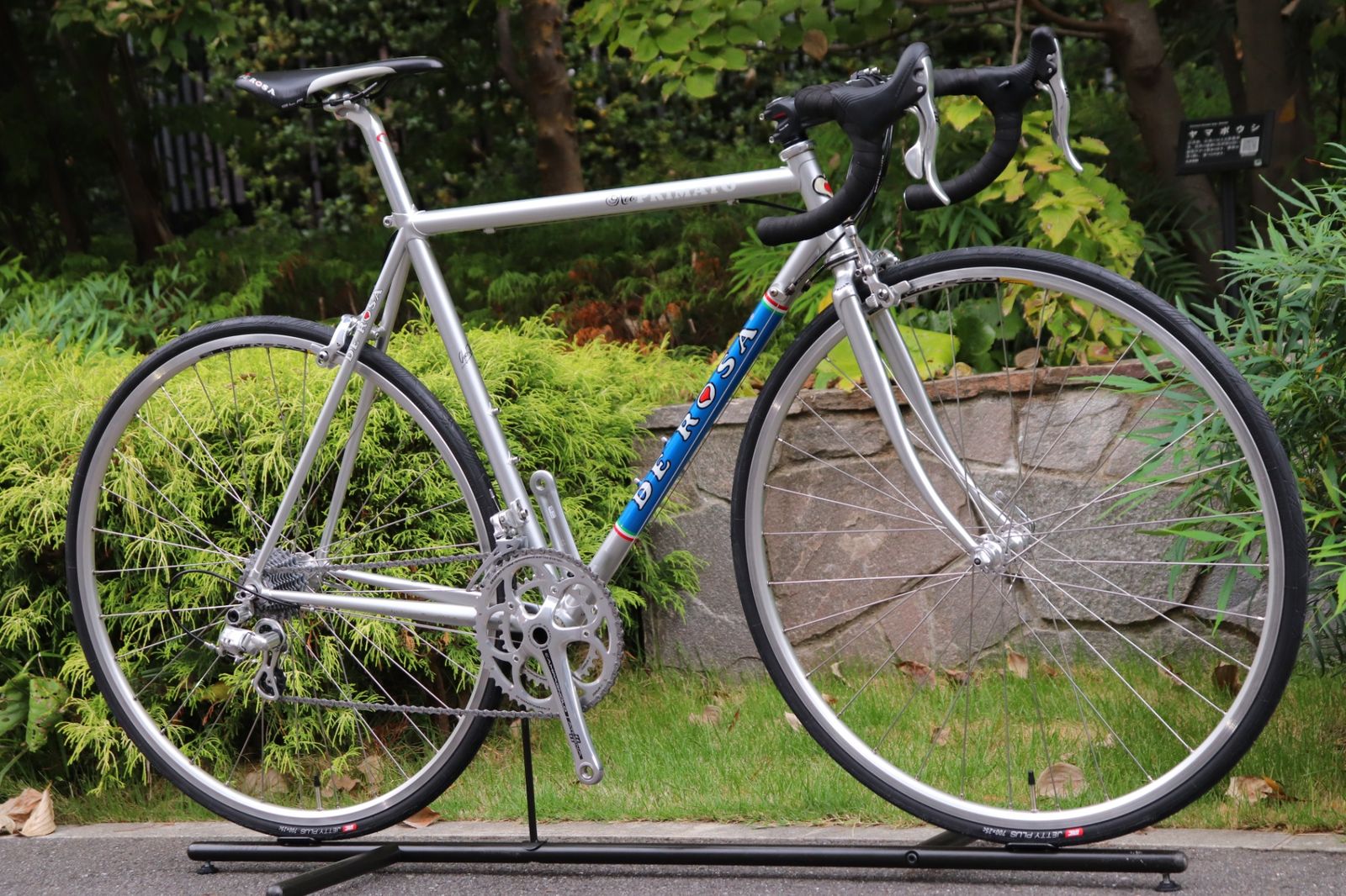 52サイズ カンパ