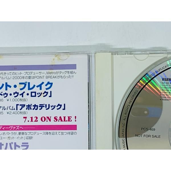 最新入荷 Japan Music Warner 洋楽 Top Selections Hits 洋楽 