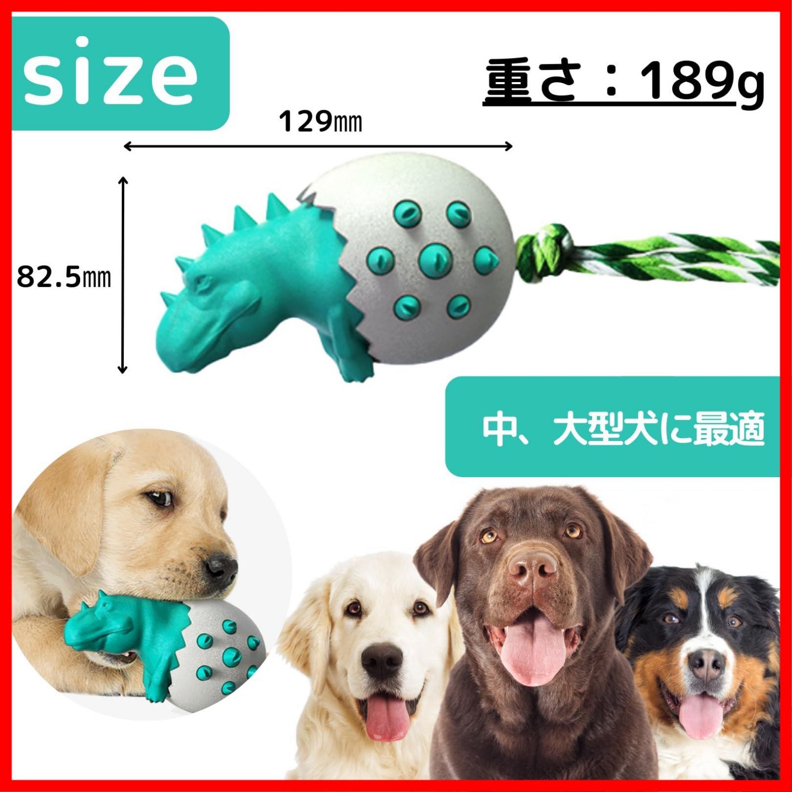 犬