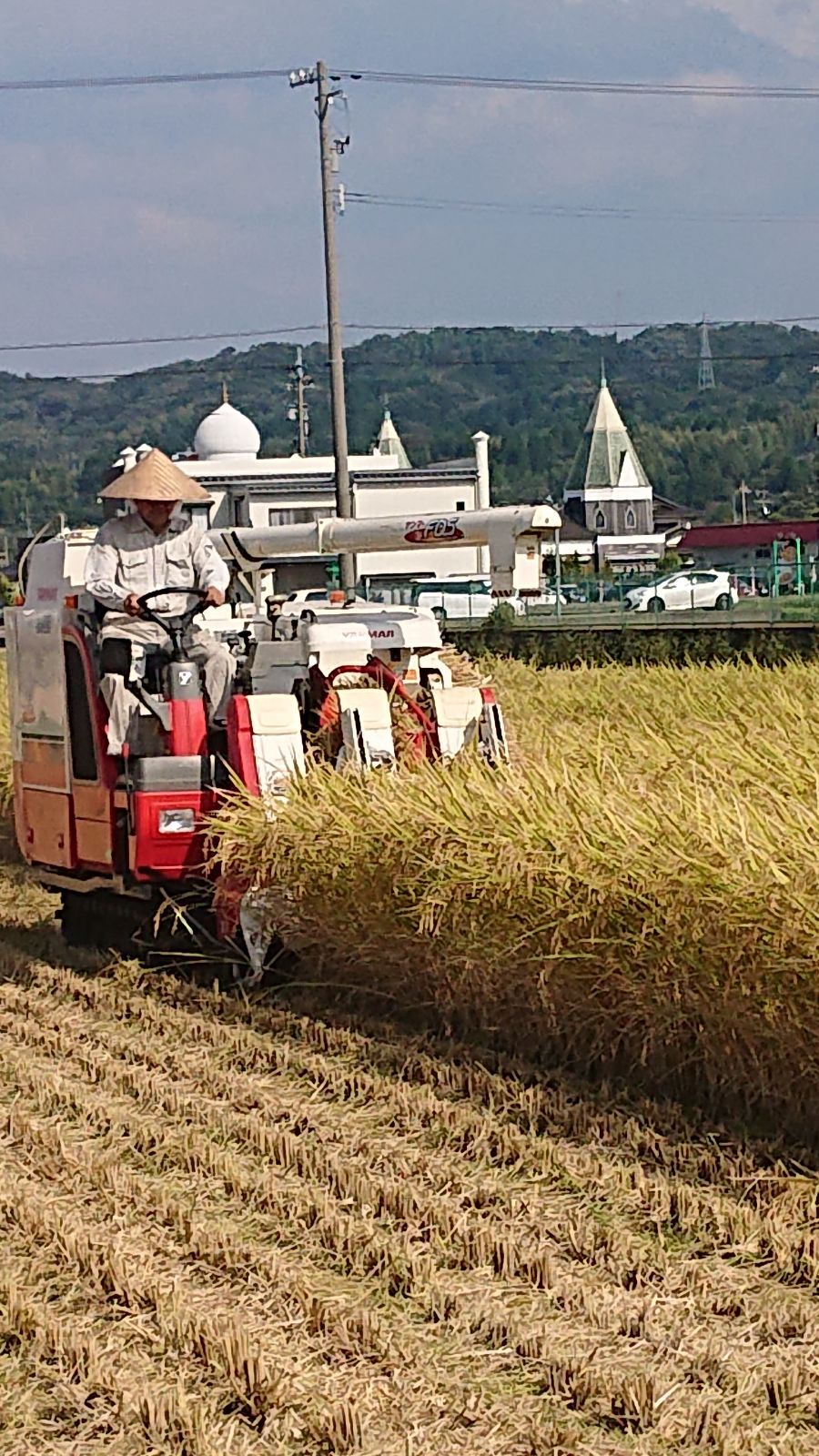 SALE／84%OFF】 新米 R4年富山県産コシヒカリ白米4.5kg✳️関東 東海