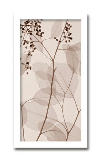 アートフレーム レントゲンアート 絵画 ユーカリ3/インテリア 額入り 額装込 風景画