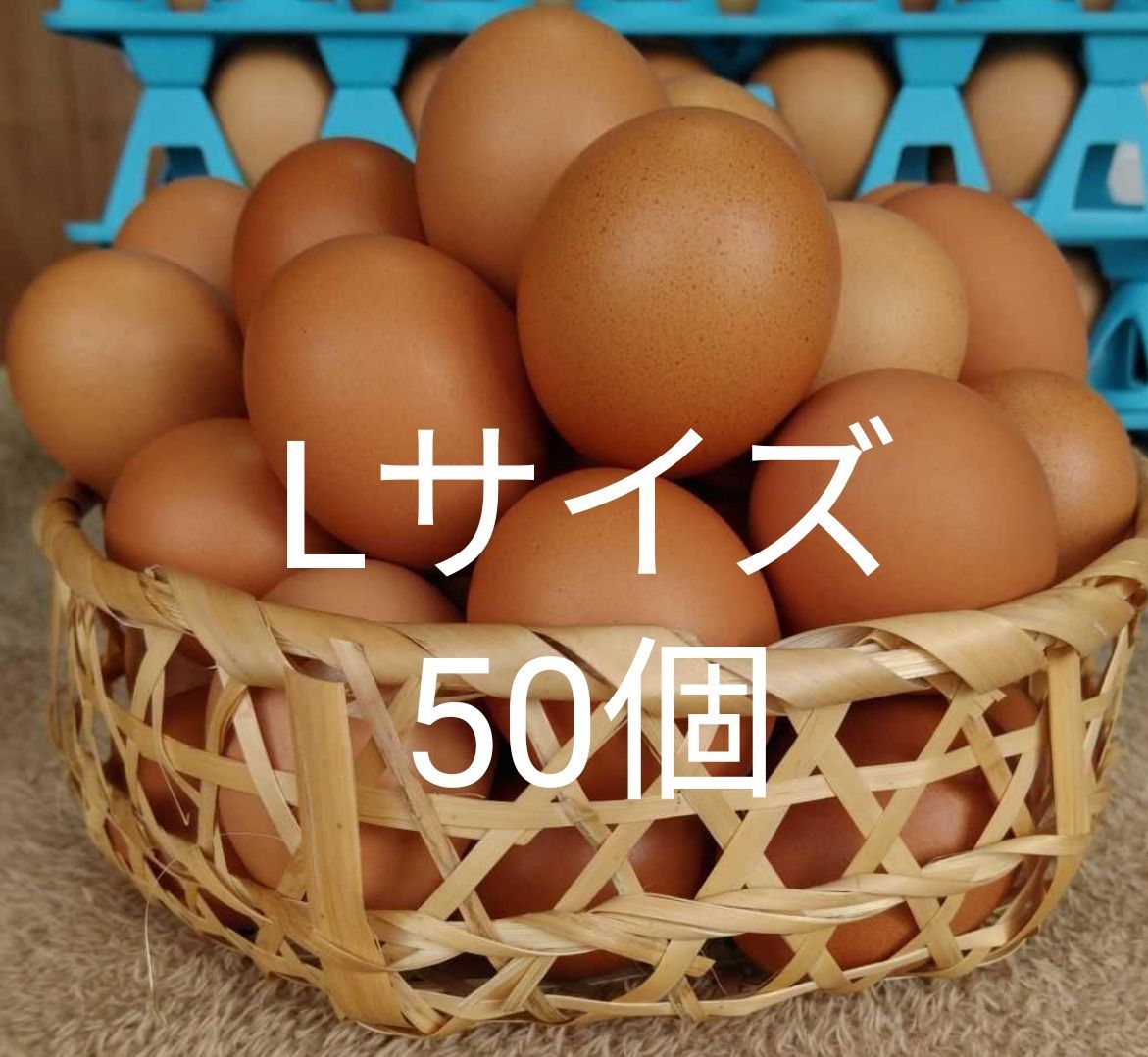 けんちゃん卵L50個　あすなろ卵鶏 朝採れ 平飼い 特殊卵　たまご　玉子