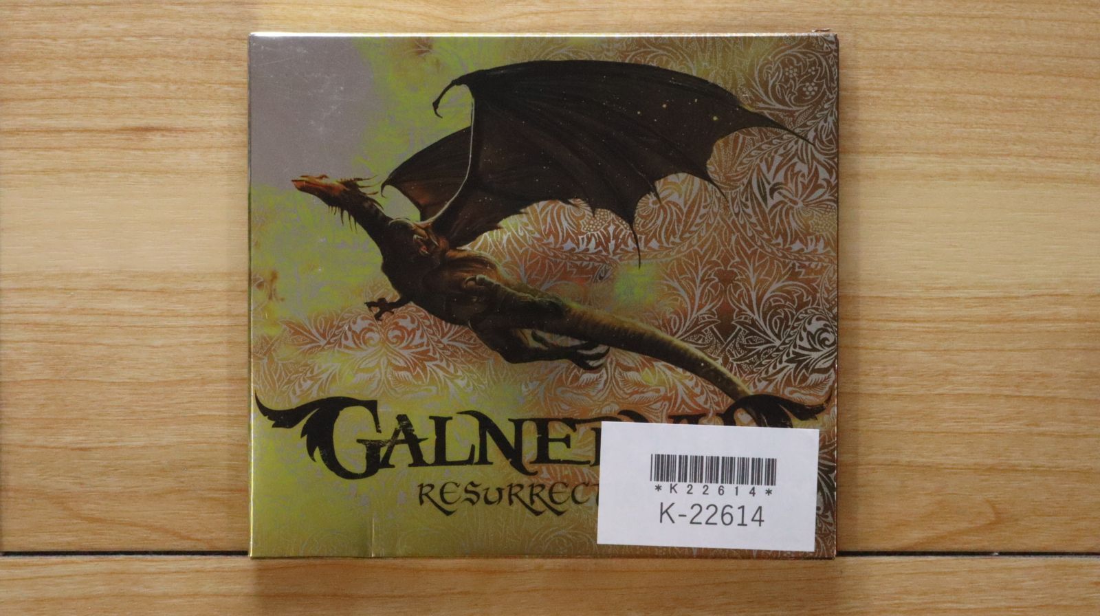 GALNERYUS/United Flag/CD-R/ガルネリウス/オマケ付 Amazon.co.jp: The Flag Of Punishment - Galneryus: ミュージック