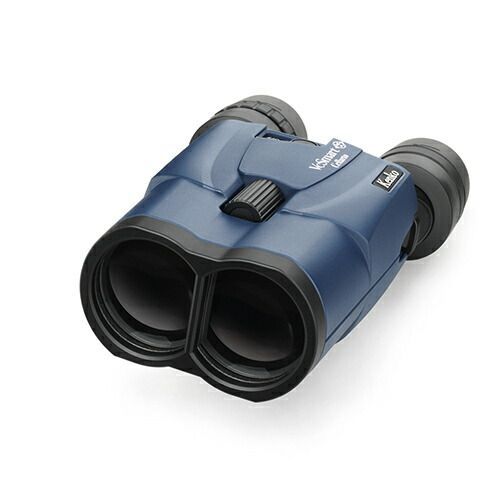 ライブ コンサート