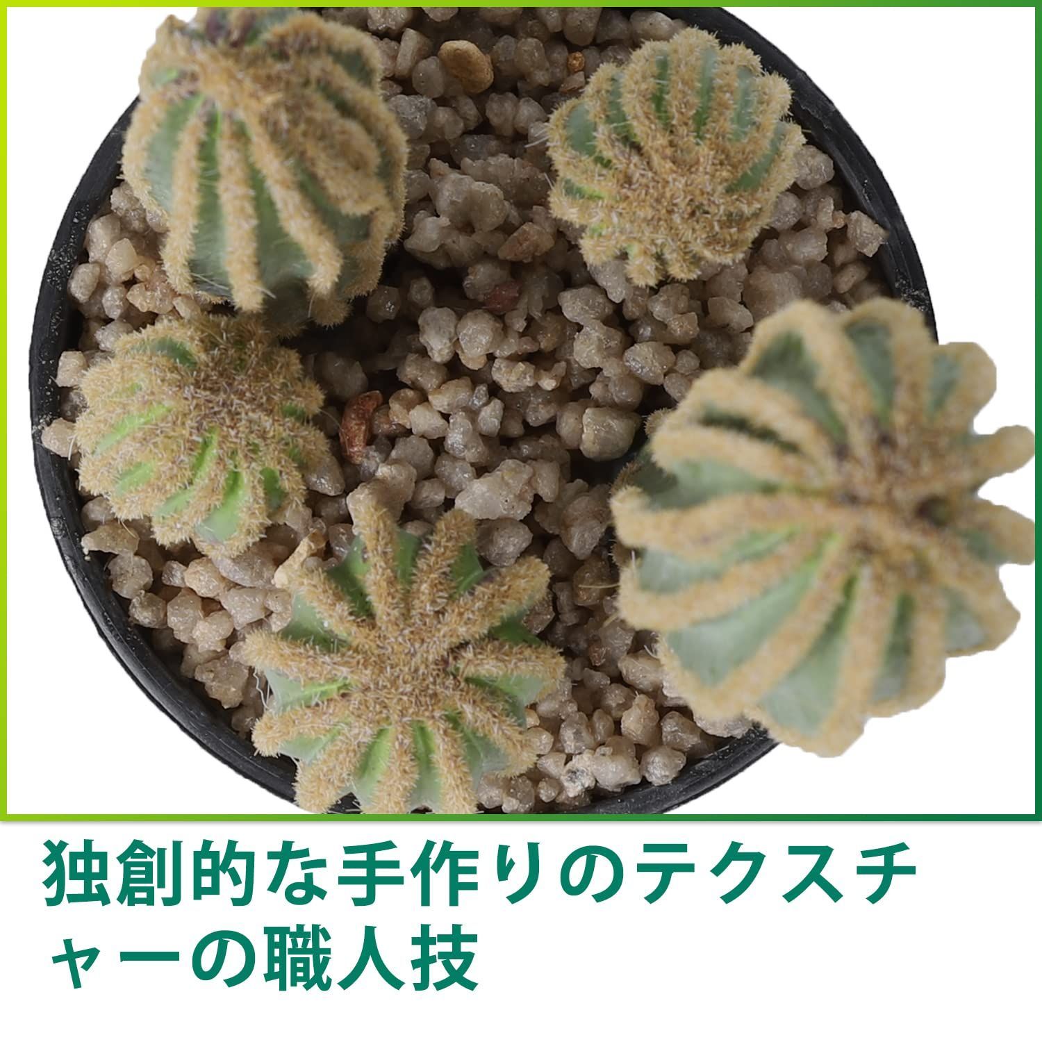 光触媒 人工観葉植物 ウォールグリーン フェイクグリーン ウチワ