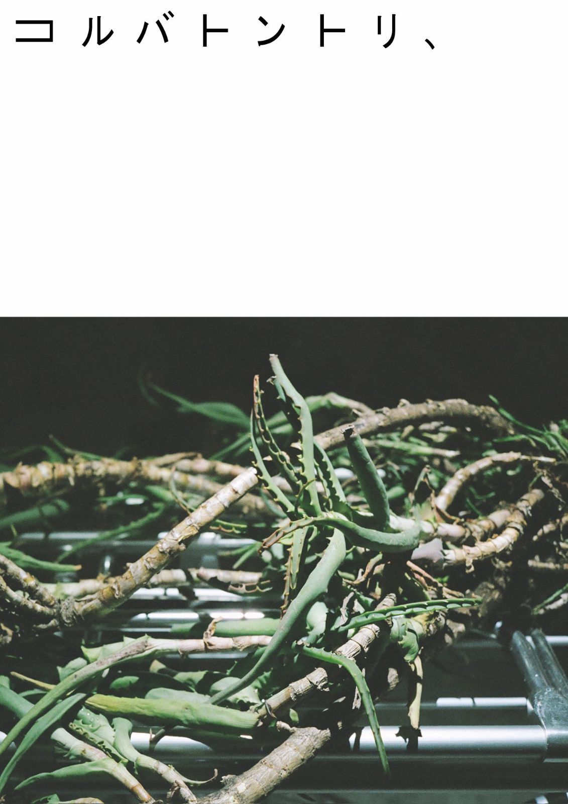 コルバトントリ、 [DVD]