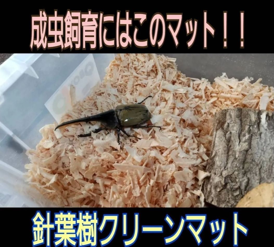 6袋セット ケース内が明るくなり生体がカッコ良く見える