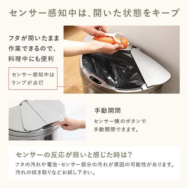 ゴミ箱 ダストボックス 約幅42cm 47L 大容量 横開き ステンレス 自動