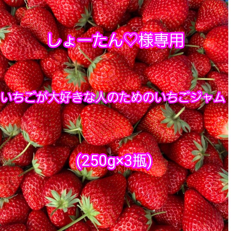 しょーたん様専用！いちごやさんが作る、いちごが大好きな人のためのいちごジャム(250g×3瓶) - メルカリ