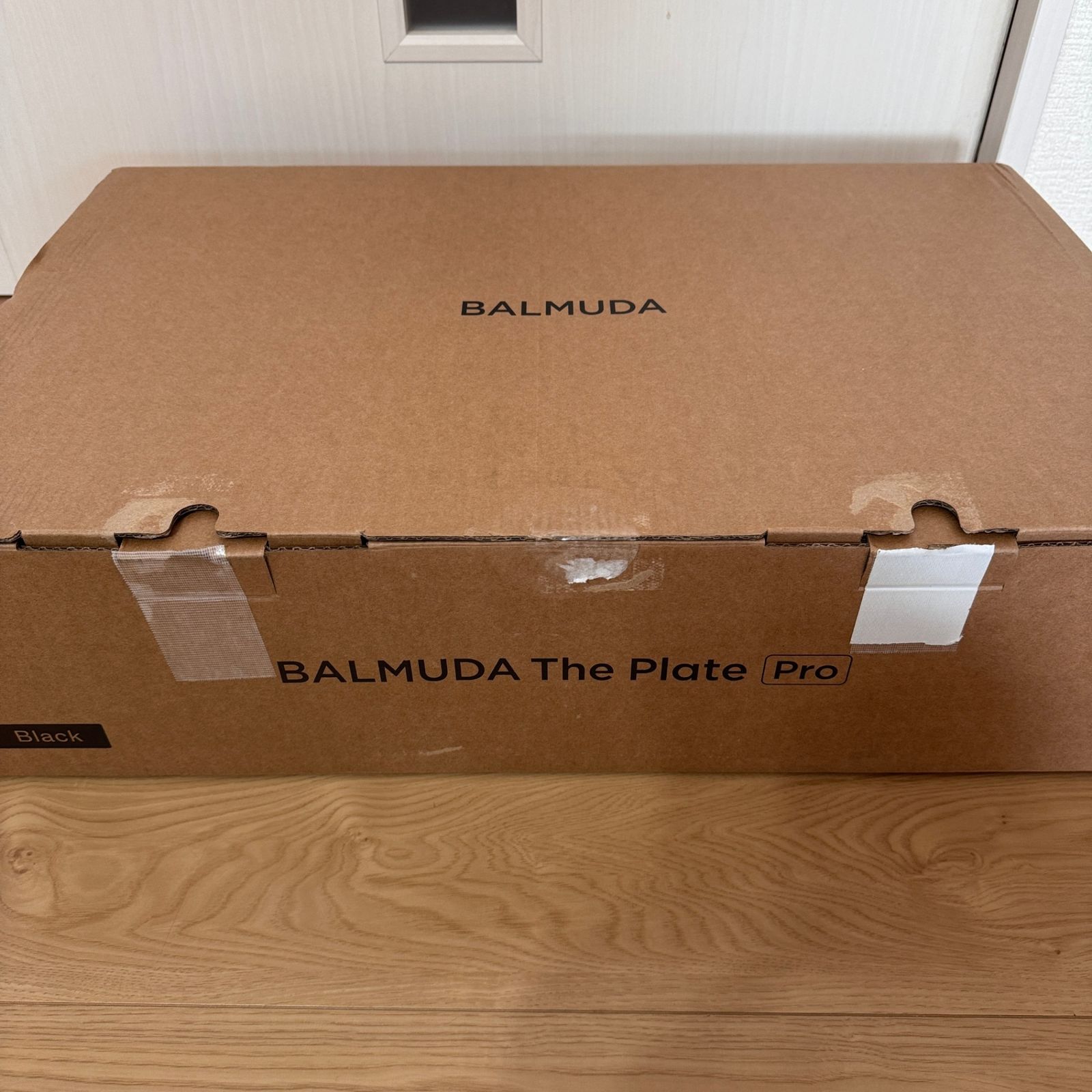 ☆未使用品 BALMUDA The Plate Pro バルミューダ ザ・プレートプロ