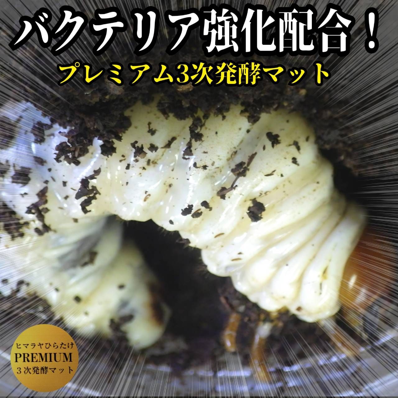 ヒラタにも抜群