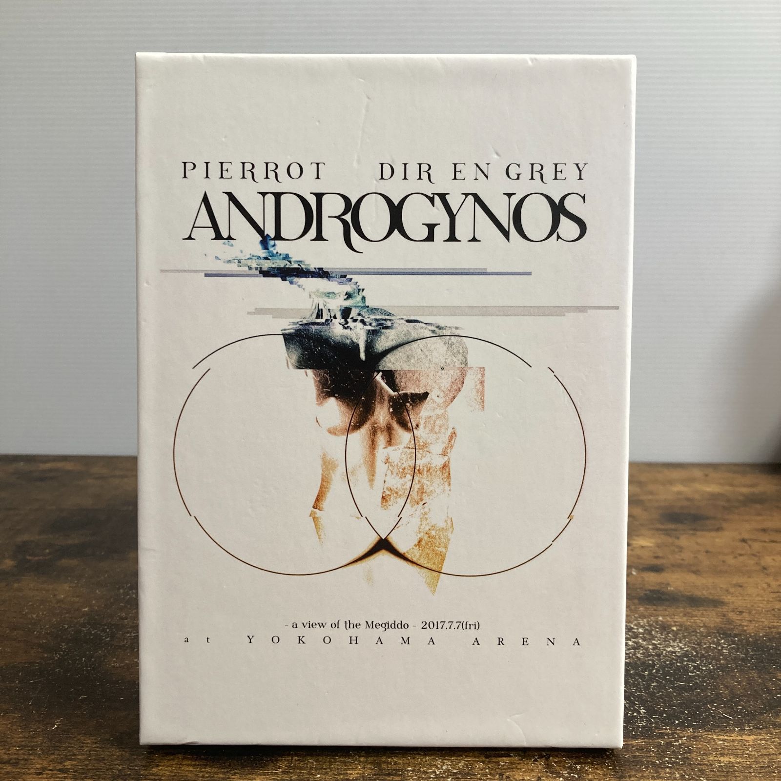 ANDROGYNOUS 2017 DVD 豪華版未開封品 フライヤー 【公式通販】