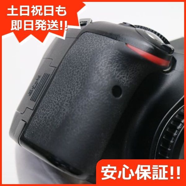 本体