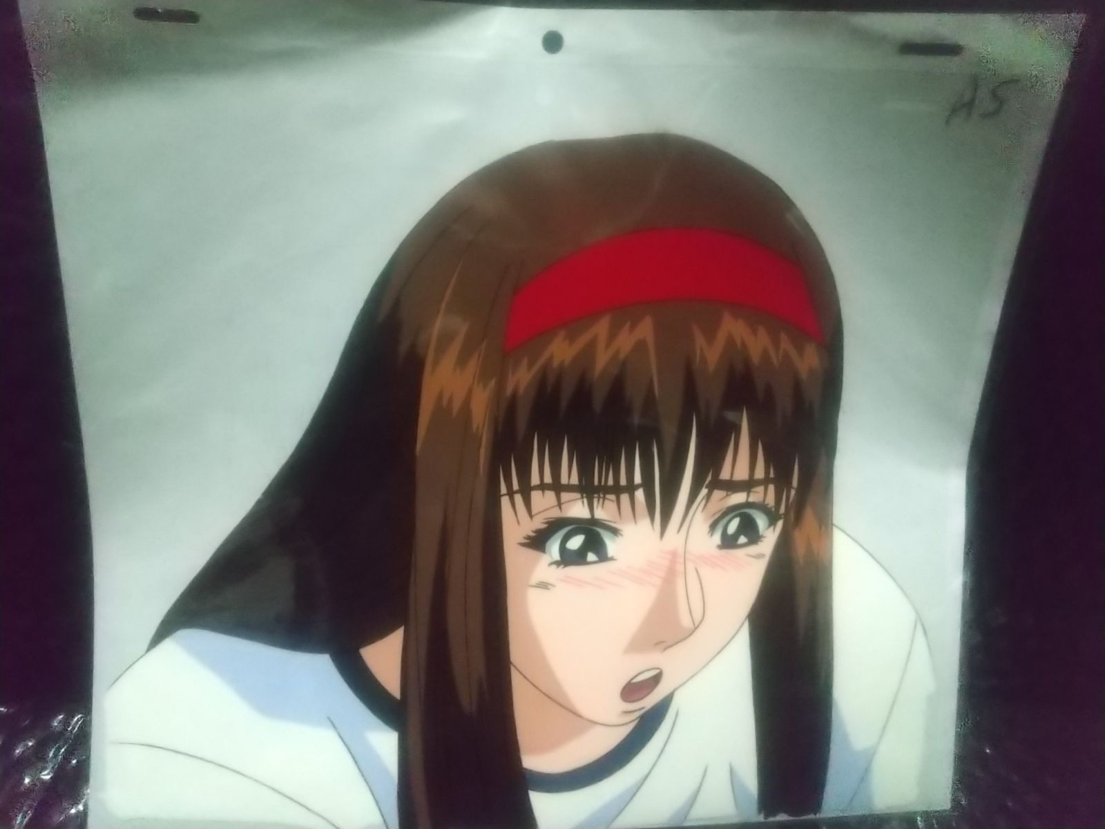 はむちゃんに付き他の方はご遠慮下さい Amazon.co.jp