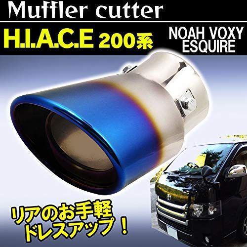 歯科臨床が変わる筋機能学こと始め?筋の生理から運動指導・手技療法まで 歯科臨床が変わる筋機能学こと始め 筋の生理から運動指導・手技