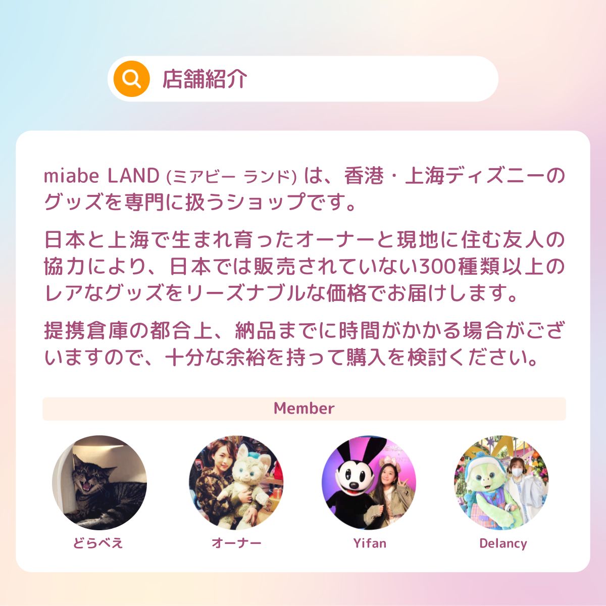 Group B｜10~15営業日国内倉庫発送｜上海ディズニー公式グッズ専門 