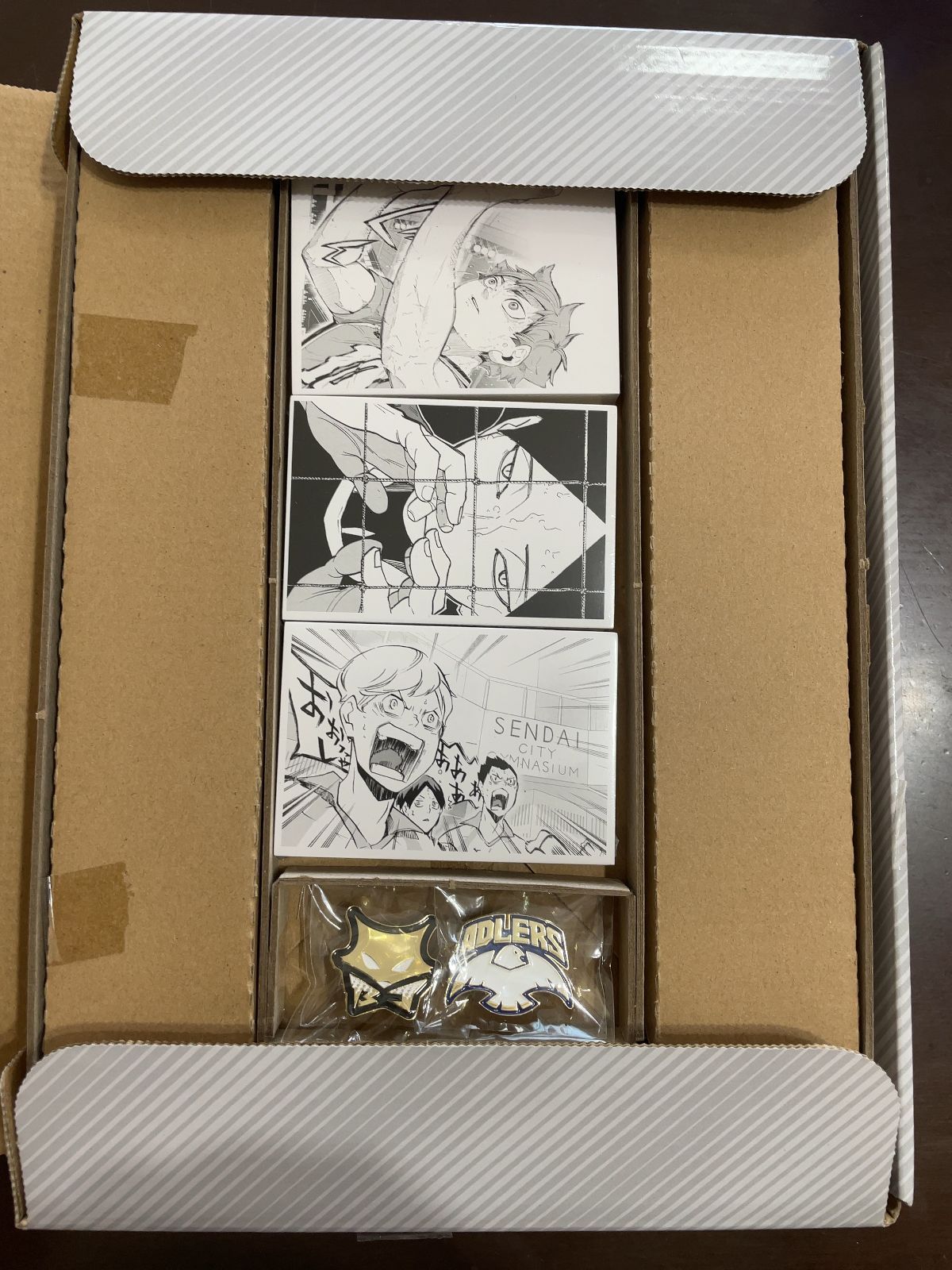 ハイキュークロニクル グッズ付き同封版 ハイキュー!! 10thクロニクル