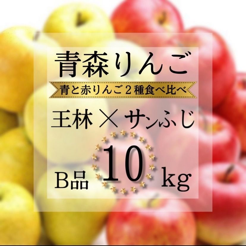 青森県産 サンふじ りんご 家庭用 10kg 農家直送 送料無料 リンゴ 王林