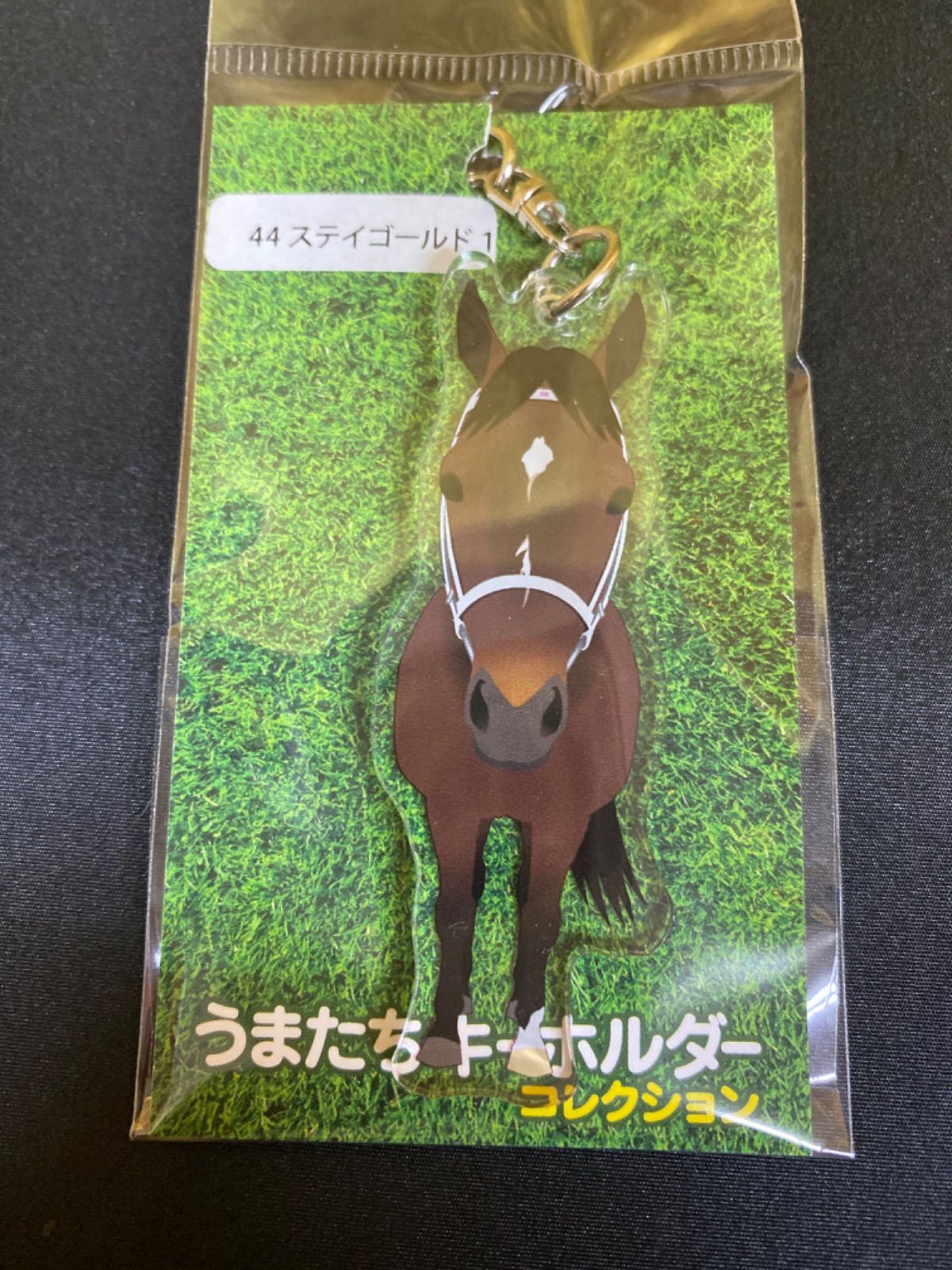 ステイゴールド ミニ色紙 競馬 - ノベルティグッズ