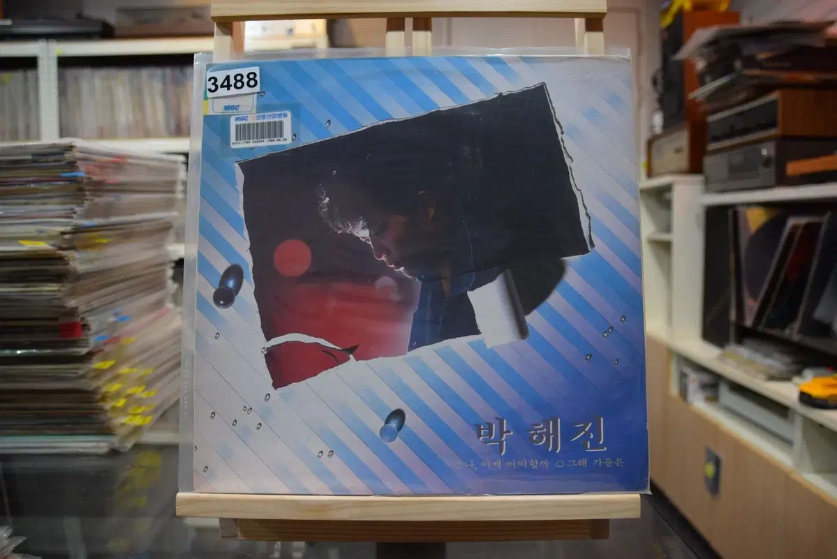 パク・ヘジン ミント 販売 ： 私 どうしよう