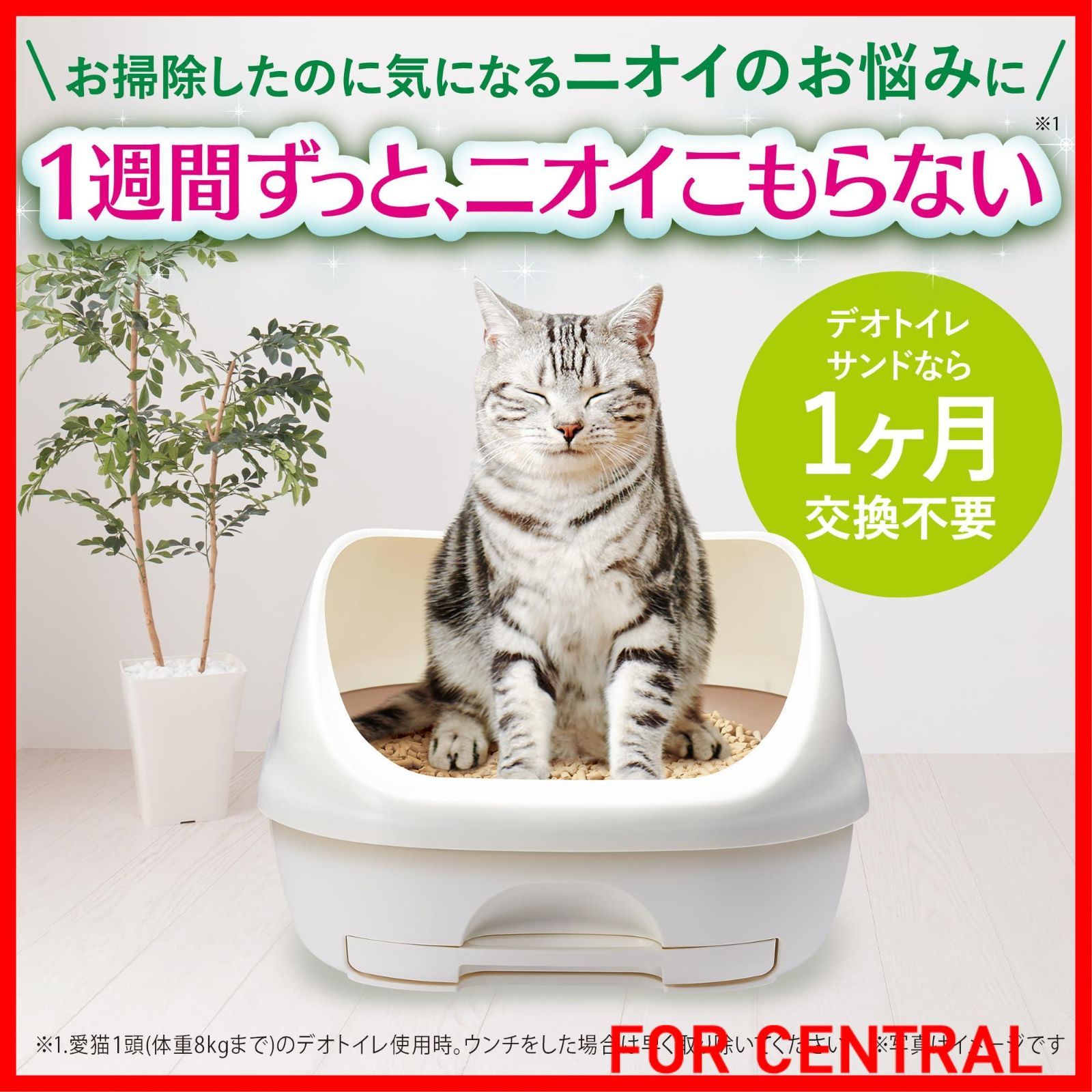 サンド