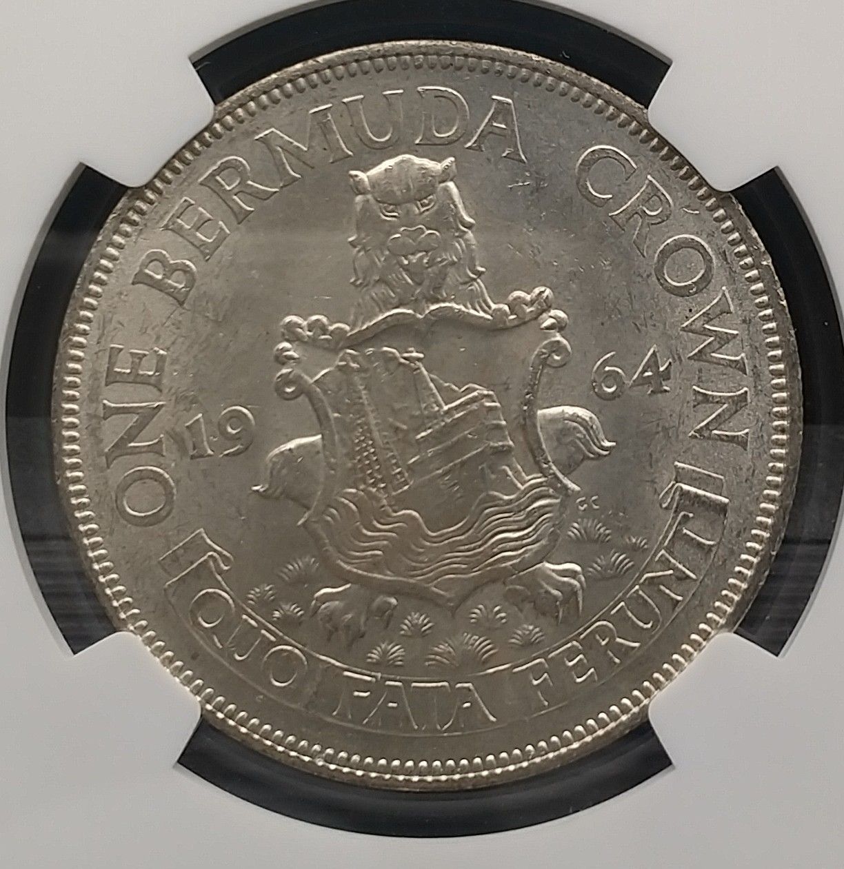 1964年