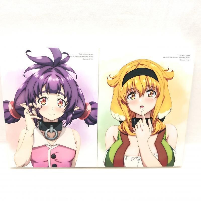 異世界迷宮でハーレムを Blu-ray BOX 上下巻 セット