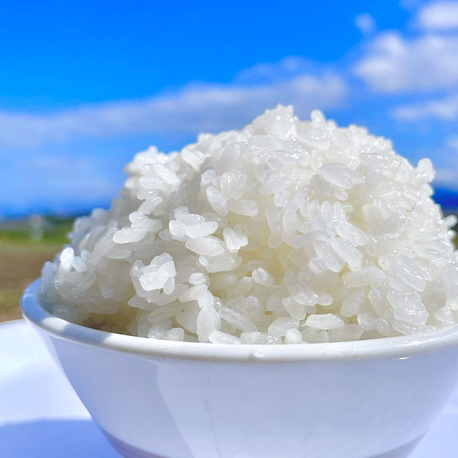 新米 25kg ヒノヒカリ 送料込み 玄米 令和6年度 愛媛県西条産