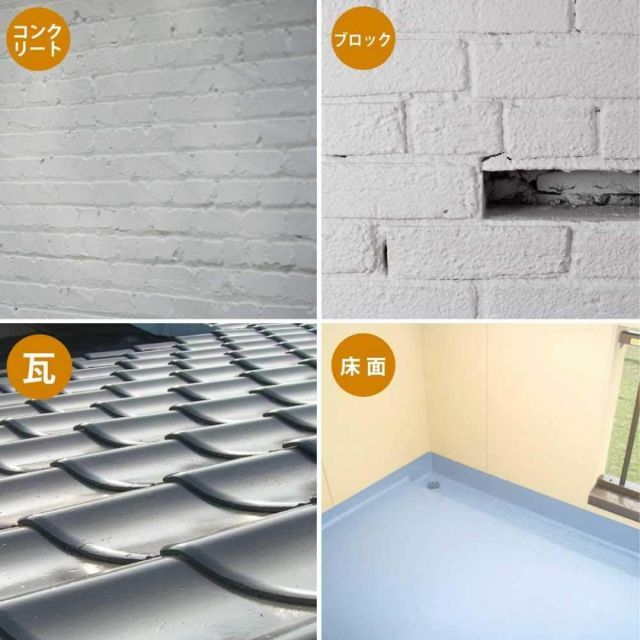 カンペハピオ Kanpe