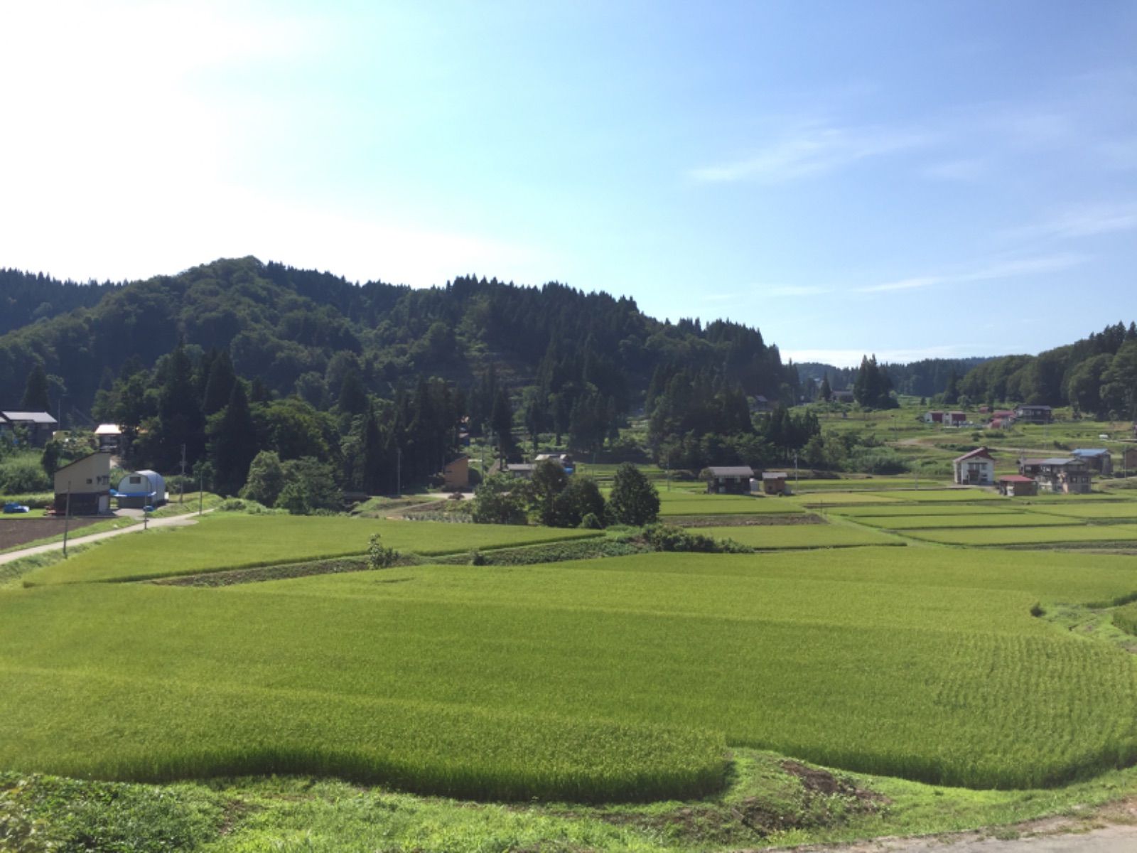 最高級】居田屋米 南魚沼塩沢産コシヒカリ 白米 5キロ まぼろしの農家