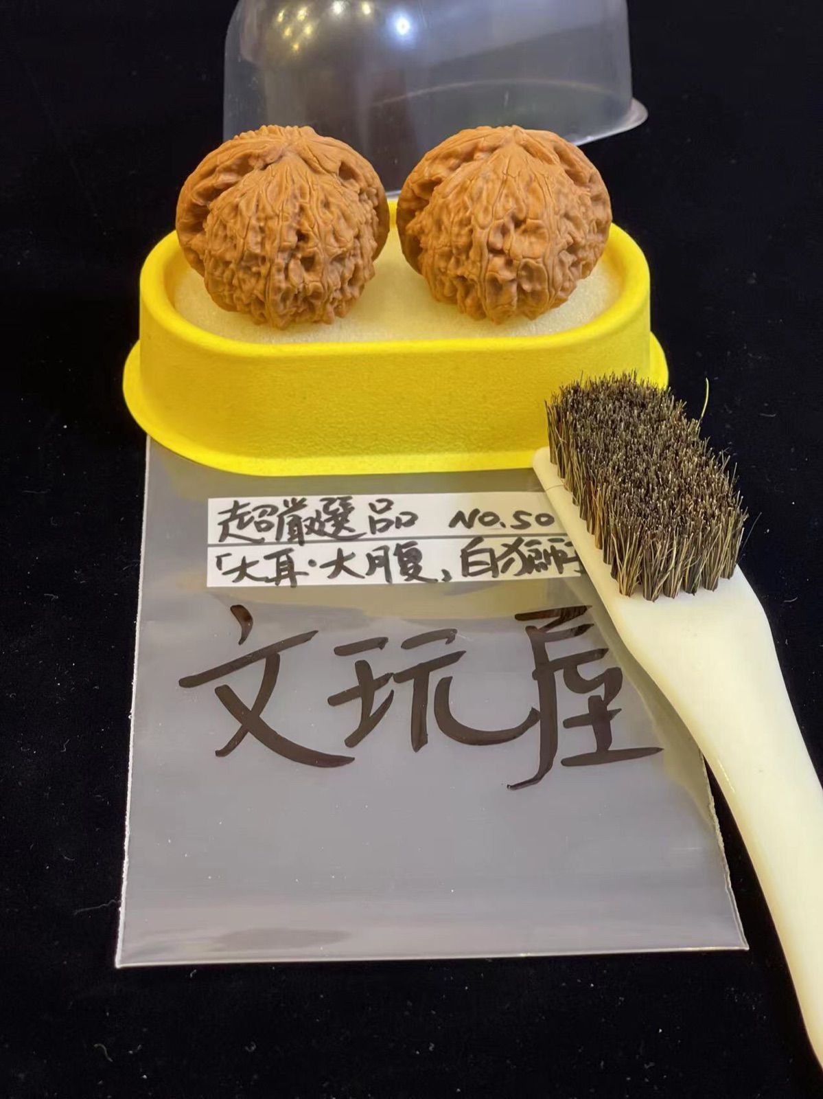 店長大暴走！クリアランスSALE 白獅子No.59くるみ 趣味 遊び胡桃 健康