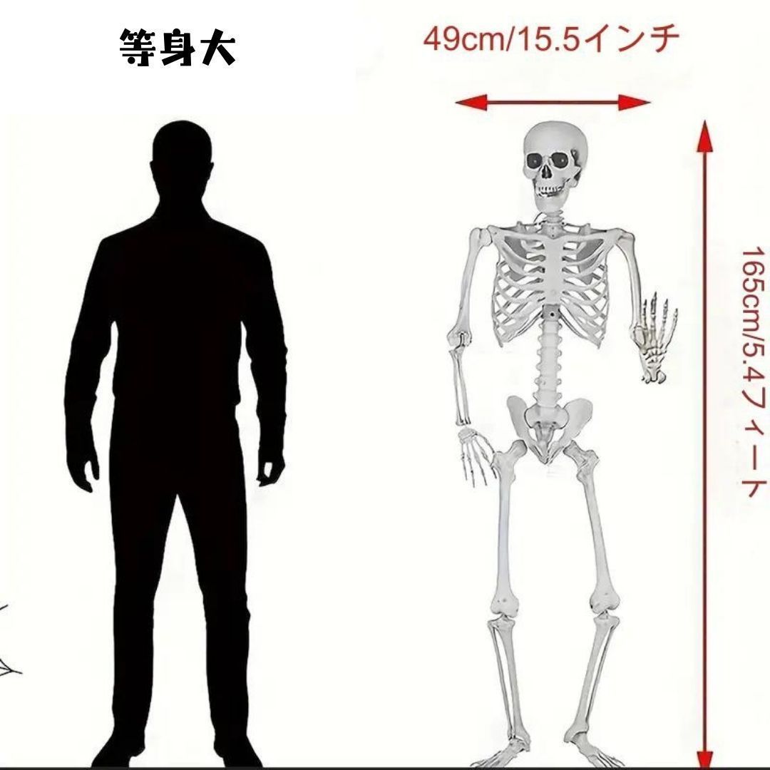 全身