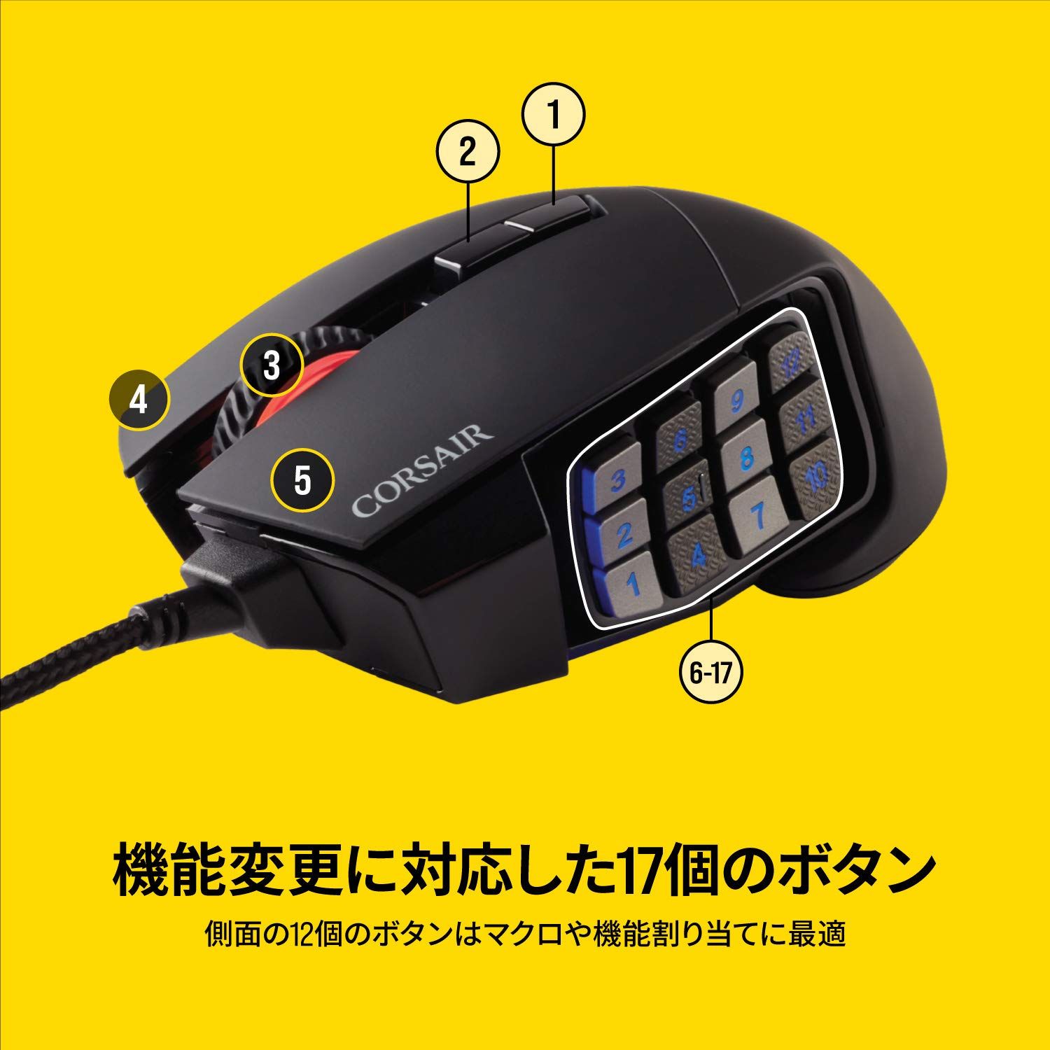 ブラック|||ホワイト マウス単体