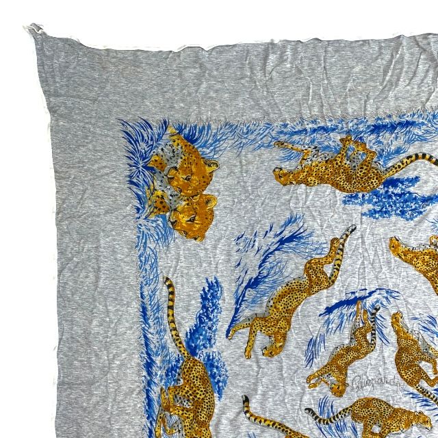 ヒョウ チーター