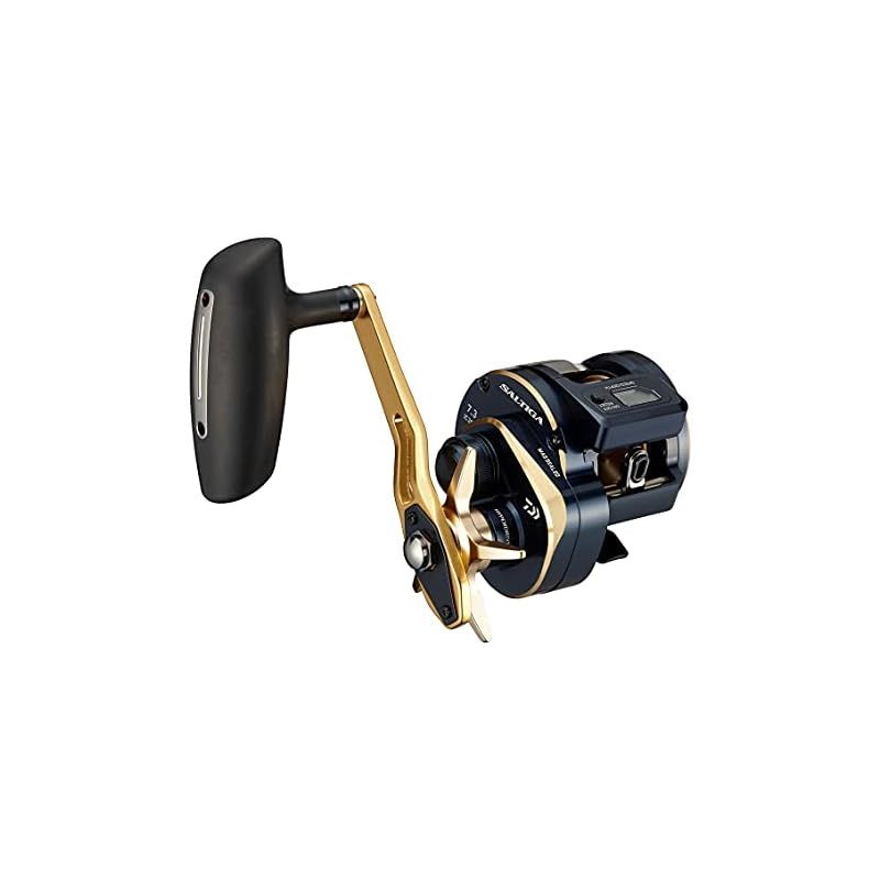 ダイワ(DAIWA) 21 ソルティガIC 300H-SJ 1