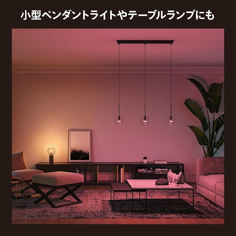 Philips Hue スマート電球 E17 40W フルカラー 2個 セット 購入