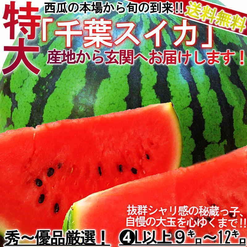 特大 スイカ 1玉入り 9～12kg 4L～6Lサイズ 贈答規格 千葉県産 秀品 富里・山武・成田など県内屈指の産地厳選！ - メルカリ