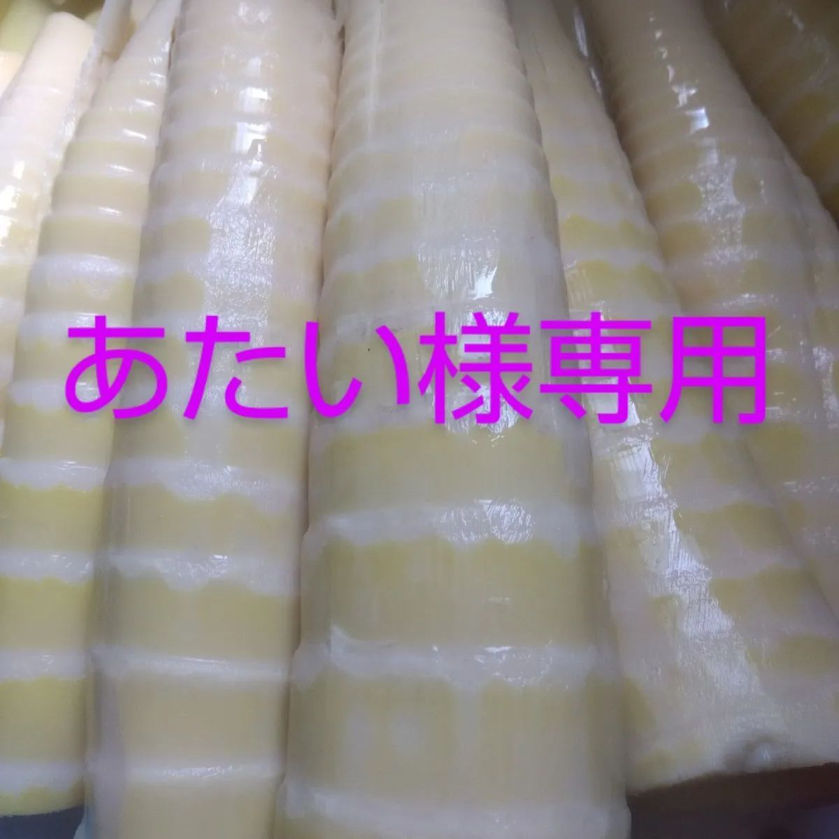 たけのこ タグ付き大きなコアラのぬいぐるみ たけのこ タグ付き大きな