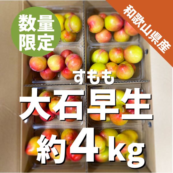 大石早生　3Lサイズ　和歌山卸売市場どっとこむ　和歌山県産　スモモ　(約500g×8パック　プラム　約4kg　すもも　メルカリ