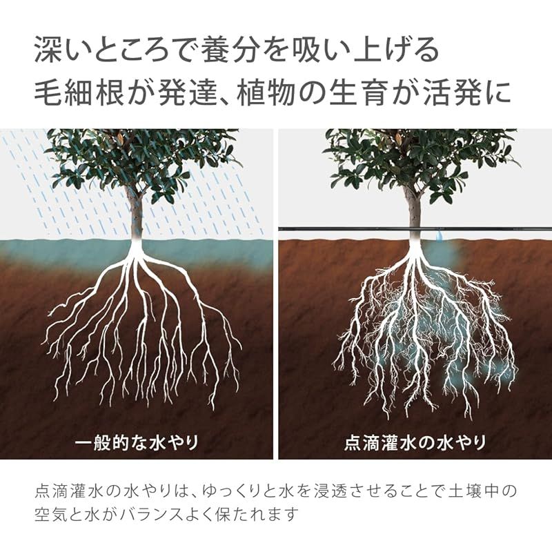 タカギ