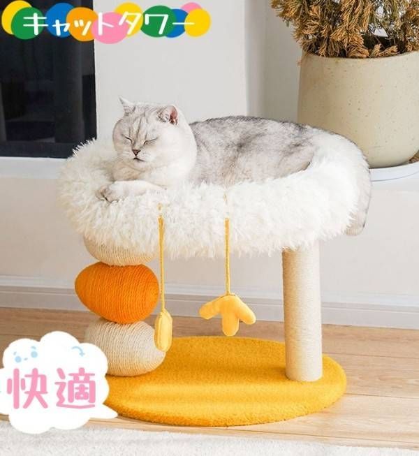 猫 爪とぎ ポール キャットタワー おしゃれ かわいい キャットツリー 支柱 室内 小型 組み立て 据え置き ペット